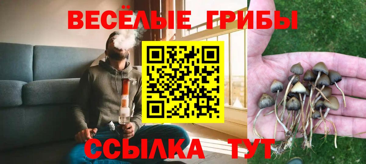 Петропавловск-Камчатский  Псилоцибиновые грибы Psilocybine cubensis  Вход с VPN 